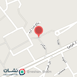 عکس مرغ و ماهی مهدی رضایی 