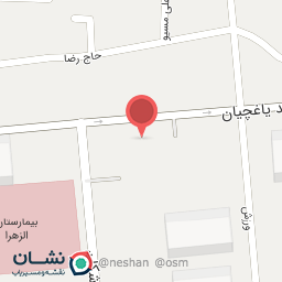 عکس دکتر نازلی نوالی