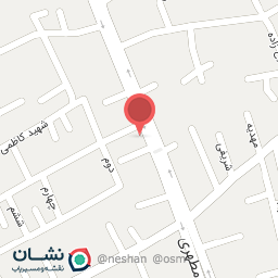 عکس شهیدان عاملی