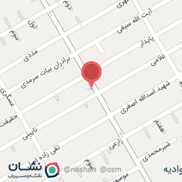 عکس فستفود سعید