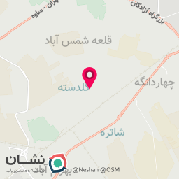 عکس کباب ذغالی آتا