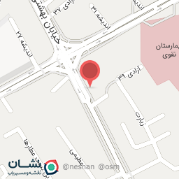 عکس پیتزا پدیده 