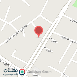 عکس الکتریکی حسینی