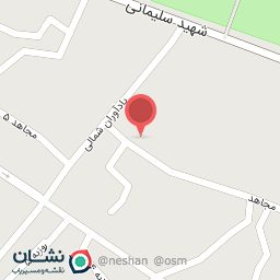 عکس همبر گوشت گرم ذغالی