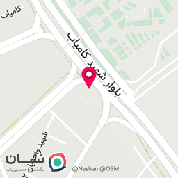 عکس برک سیر