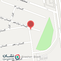 عکس پیتزا قاچ