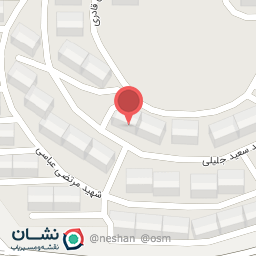 عکس زیتون ۱