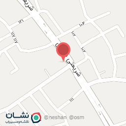 عکس گالری کیف و کفش آلا مد