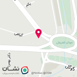 عکس فست فود رونیک