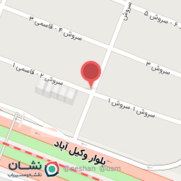 عکس کار درمانی و گفتار درمانی کن‌دو