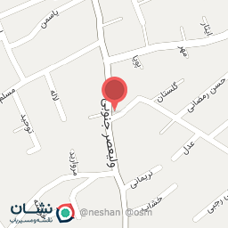 عکس تهیه غذای برادران حسینی