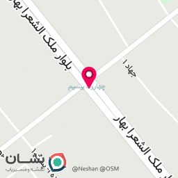 عکس فروشگاه لوازم یدکی میخچی