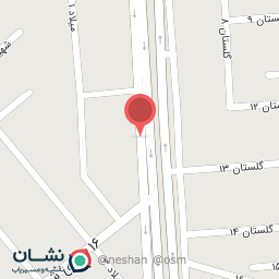 عکس مکانیکی محمد 