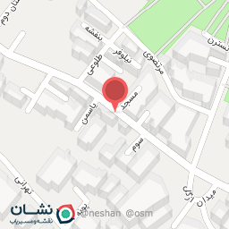 عکس ره پویان خودرو