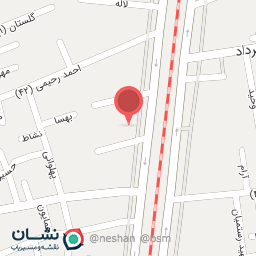 عکس غذای ته دیگ طلایی