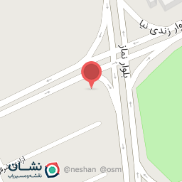 عکس پیتزا شهر city pizza