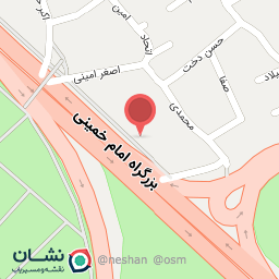 عکس پیتزا و همبرگر 101