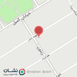 عکس آجیل وخشکبار زیتون