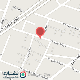 عکس ماهی فروشی خاتون