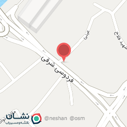 عکس مرغ مستر طالشی