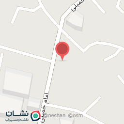 عکس بیمه پاسارگاد خانم طلایی