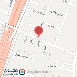 عکس پرنده فروشی