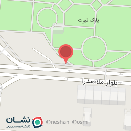 عکس برگر ذغالی