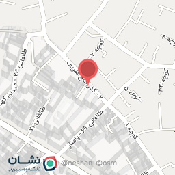 عکس تولیدی کفش زنانه طوبی