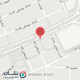 عکس زنانه دوزی نگین