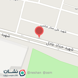 عکس فروشگاه دلفانی