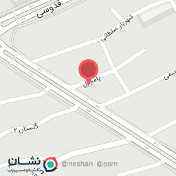 عکس پیتزا لاکچری ژیوان