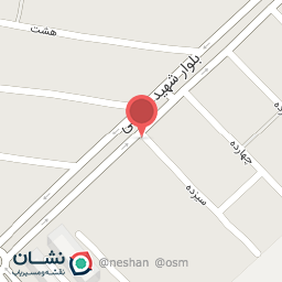 عکس اتو سرویس معین