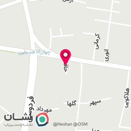 عکس نمایندگی شیامی