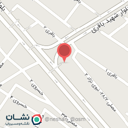 عکس الکتریکی 