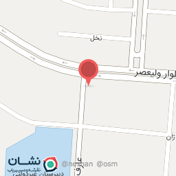 عکس دکتر حمیده عظیمی علمداری