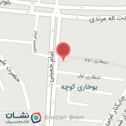 عکس کباب مهدی