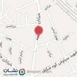 عکس قالی شویی آسیا