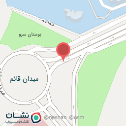 عکس شهید فهمیده (پارک مردم)