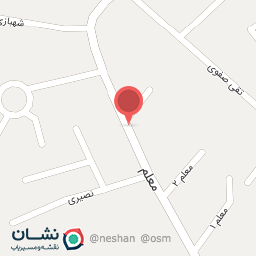 عکس پیتزا نوین