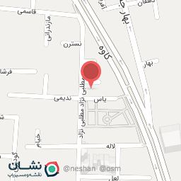 عکس فست فود یاسبرگ