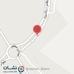 عکس مرغ درنا مرتضی کشمیری 