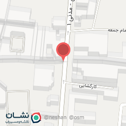 عکس کفش امینی