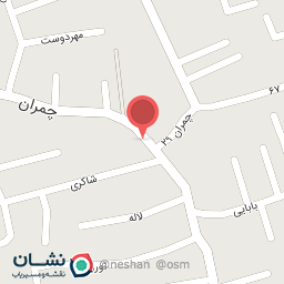 عکس مرغ و پروتئین سید رسول