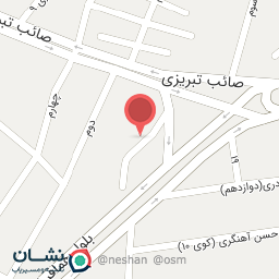 عکس کباب کوبیده و همبرگر گوشتی حاج ناصر