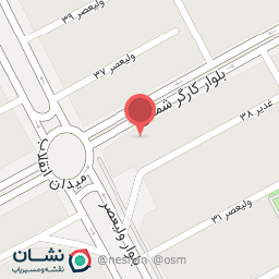 عکس پیتزا نوین