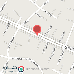 عکس قفسه بندی صدف مشبک