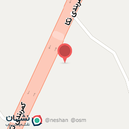 عکس زیتون چگینی 