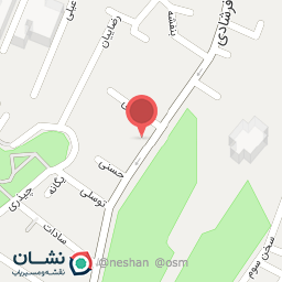 عکس ترنگ برگر