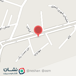 عکس الکتریکی برادران عاشوری