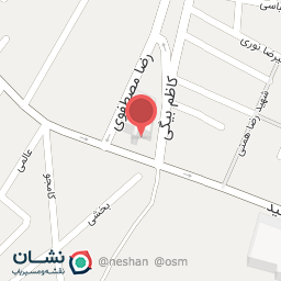 عکس هییت نوجوانان حضرت رقیه (س)